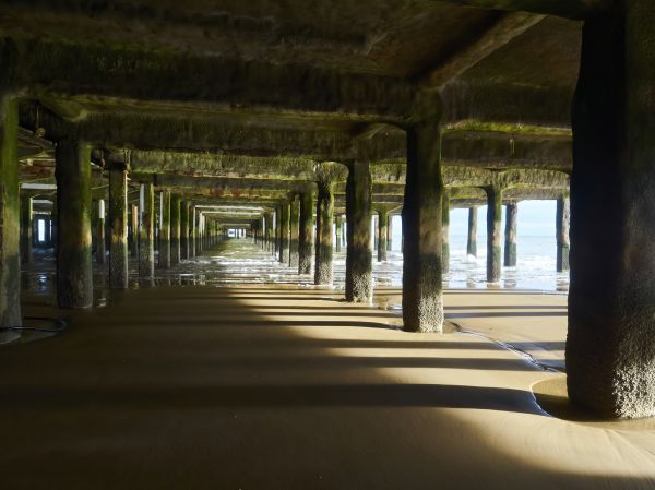 Pier And Beam Leveling in Cumming